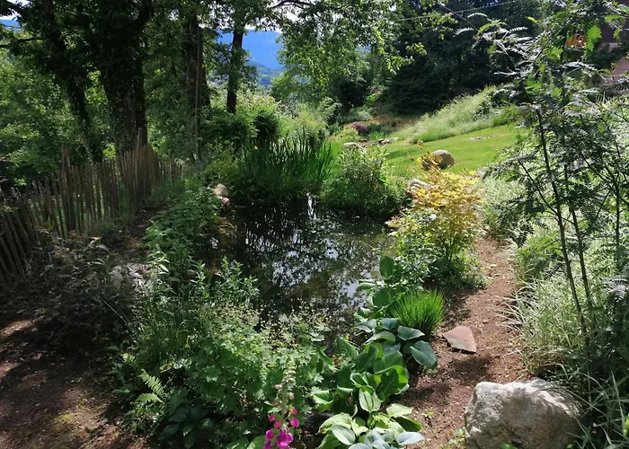 Cabanon 木屋 Sapois (Vosges)